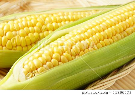 图库照片: 玉米 圆筒 谷类